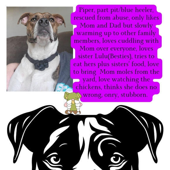 @spazcmt55 Meet Your Posher - Picture 7 of 11